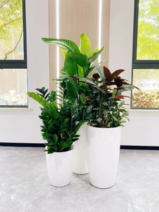 领略奉化花卉租摆设计，绽放别样花卉魅力